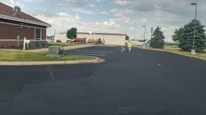 Best Driveway Pressure Washing  in Lake Andes, SD